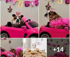 A Tail-Wagging Birthday Bash: Celebrating Fido’s Special Day