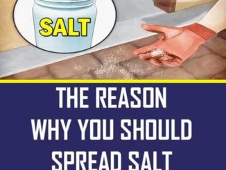 Spreading the whole house with salt is why it is so incredible