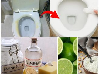 Mix this into a mixture and put it in the toilet, you will be surprised at the effectiveness of removing yellow stains and always smelling fresh.