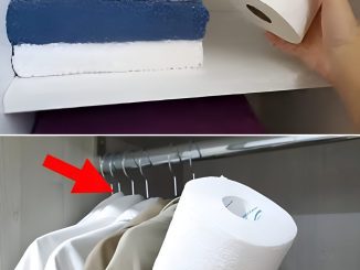 Place 1 Roll Of Toilet Paper In The Closet And You Will Be Surprised By The Result