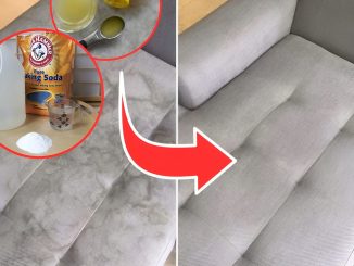 How to remove mold stains on a sofa is a skill that not everyone knows when using a sofa. Here 5 Natural, non-toxic ways to remove mold stains on sofas