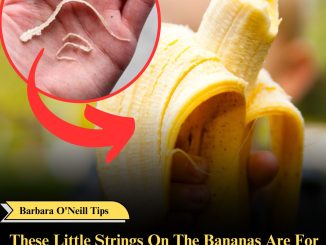 These Little Strings On The Bananas Are For This Purpose