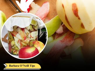 Don’t Waste Apple Peels: Turn Them Into This!