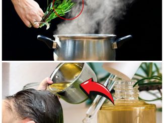 Try bringing ten sprigs of rosemary to a simmer in your house, and watch the wonderful transformations that occur gradually.