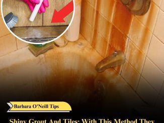 Shiny Grout And Tiles: With This Method They Stay Clean For A Long Time