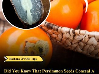 Did You Know That Persimmon Seeds Conceal A Meaning That Dates Back To Antiquity?