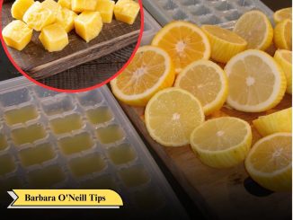 The Surprising Health Benefits Of Freezing Lemons