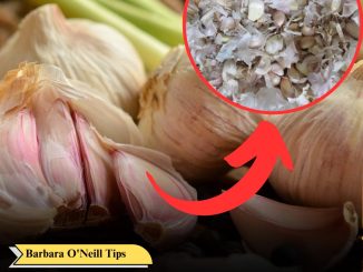 Mind-Blowing Benefits Of Garlic Skin