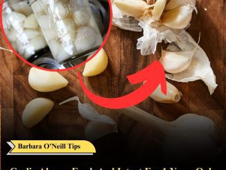 Garlic Always Fresh And Intact For 1 Year: Only Chefs Know This Trick In The Kitchen