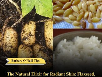 The Natural Elixir for Radiant Skin: Flaxseed, Rice, and Potato Collagen Boost