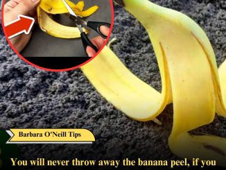 You will never throw away the banana peel, if you just watch this