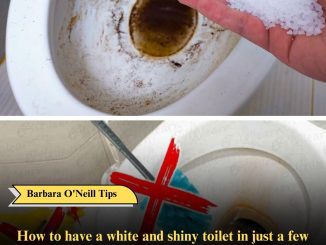 How to have a white and shiny toilet in just a few seconds