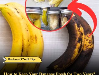 How to Keep Your Bananas Fresh for Two Years?