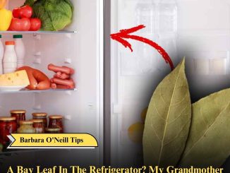 A bay leaf in the refrigerator? My grandmother always did it. Here’s why and how