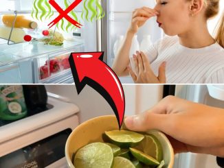 Ways to deodorize the refrigerator are extremely simple and effective