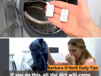 If you do this, all the dirt will come out of the washing machine: goodbye to unpleasant laundry odors