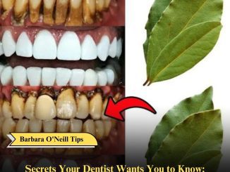 Secrets Your Dentist Wants You to Know: Empowering Dental Health