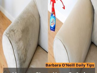 How to Clean Your Sofa / Couch with Oxi Clean