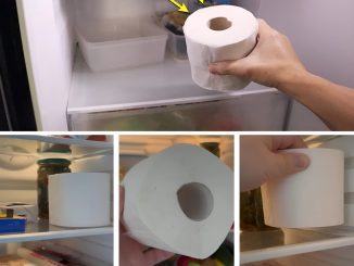 Put a roll of toilet paper in the fridge and you’ll be surprised by what happens.