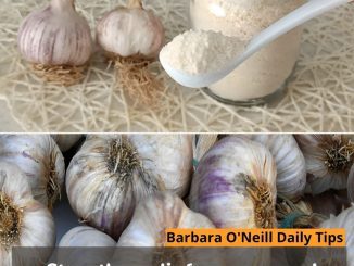 Store the garlic for many years! How best to keep garlic in storage!