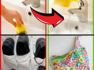 Don’t worry because the tips below will help you clean your house quickly, even if it looks like a battlefield.