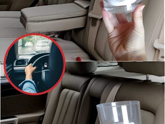 Put 1 glass of salt in the car, this solves a very common problem among motorists