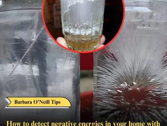 How to detect negative energies in your home with salt water and vinegar