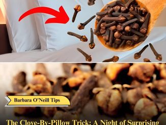 The Clove-By-Pillow Trick: A Night of Surprising Benefits