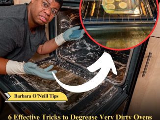 6 Effective Tricks to Degrease Very Dirty Ovens and Make Them Like New