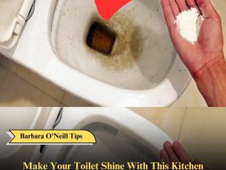 Make Your Toilet Shine With This Kitchen Product: Grandma’s Secret