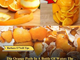 Dip Orange Peels In A Bottle Of Water: The Reason Is Surprising