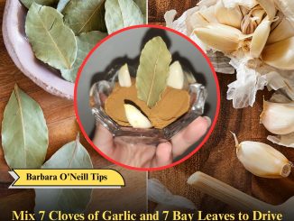 Mix 7 Cloves of Garlic and 7 Bay Leaves to Drive Bad Vibes Out of Your Home