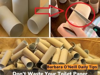 Don’t Waste Your Toilet Paper Rolls: Creative Ways to Reuse Them