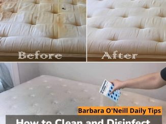 How to Clean and Disinfect Your Mattress Naturally?