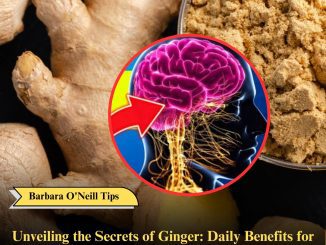 Unveiling the Secrets of Ginger: Daily Benefits for Your Golden Years