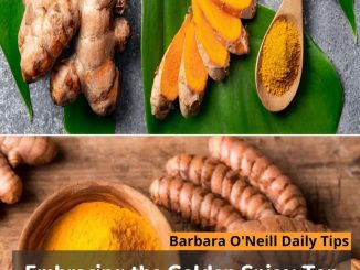 Embracing the Golden Spice: Top 3 Health Benefits of Turmeric