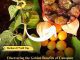 Discovering the Golden Benefits of Canapum (Physalis)