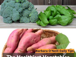 The Healthiest Vegetables for a Vibrant Lifestyle