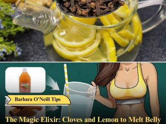 The Magic Elixir: Cloves and Lemon to Melt Belly Fat in a Day