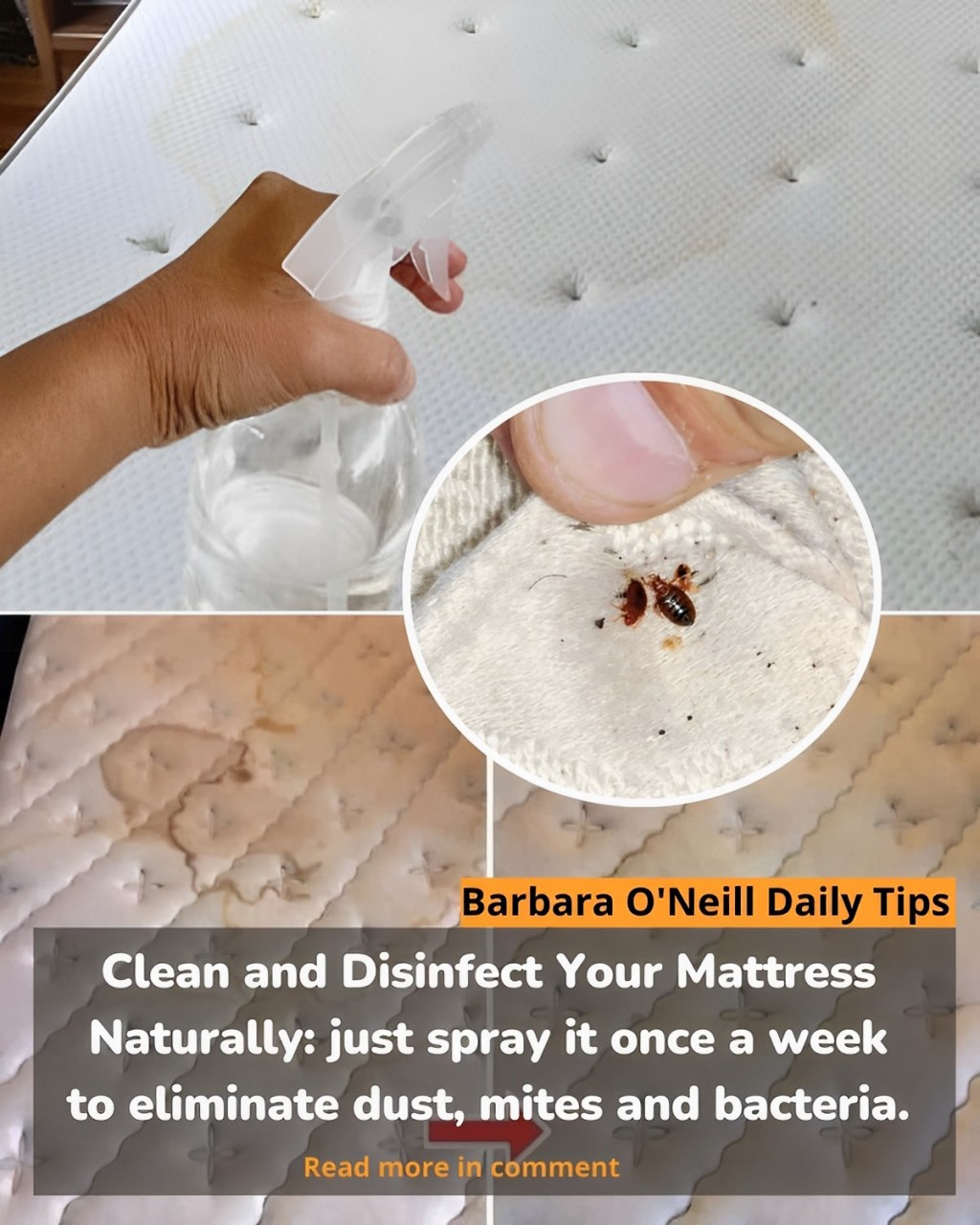 Clean and Disinfect Your Mattress Naturally: just spray it once a week ...