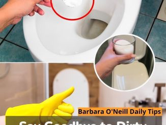 Say Goodbye to Dirty Toilets with Salt!