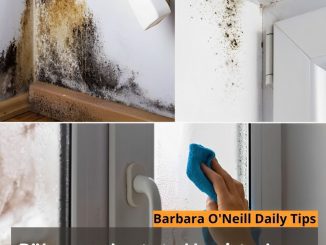 DIY approaches to tackle winter home humidity and prevent mold growth