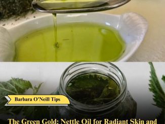 The Green Gold: Nettle Oil for Radiant Skin and Luscious Locks