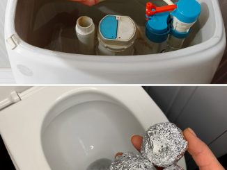 The Surprising Toilet Cleaning Hack with Aluminum Foil You’ll Wish You Knew Sooner