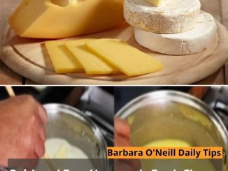 Quick and Easy Homemade Fresh Cheese – Ready in Just 15 Minutes!