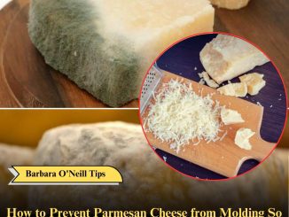 How to Prevent Parmesan Cheese from Molding So Quickly: A Simple Trick