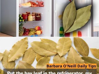 Put the bay leaf in the refrigerator, my grandmother always did! Here’s why and how