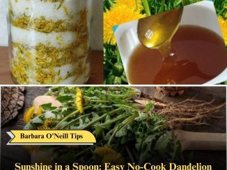 Sunshine in a Spoon: Easy No-Cook Dandelion Honey with Lemon