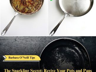 The Sparkling Secret: Revive Your Pots and Pans with This Simple Blend