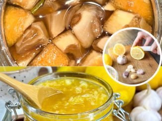 A Zesty Twist on Wellness: Homemade Lemon Garlic Mix